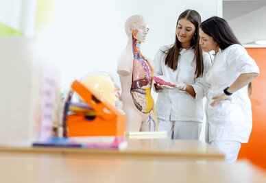 Deux étudiantes en blouse blanche examinent un mannequin anatomique aux organes apparents dans une salle de formation.