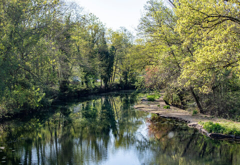 Cours d'eau calme entouré d'arbres verdoyants aux feuilles printanières se reflétant à la surface de l'eau