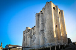 Patrimoine castral, fortifié ou militaire Donjon de Niort 46.325312