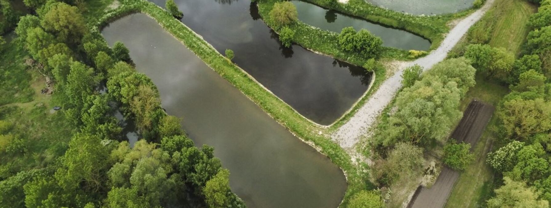 Lagunes d'épuration des eaux vues du ciel, plusieurs bassins aménagés au sein d'un espace naturel boisé