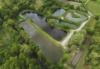Lagunes d'épuration des eaux vues du ciel, plusieurs bassins aménagés au sein d'un espace naturel boisé
