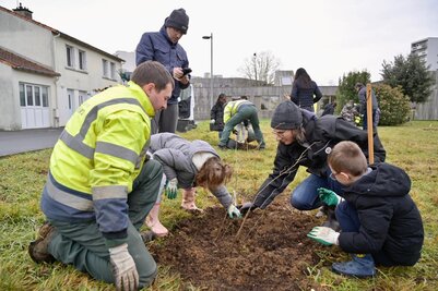 Agents municipaux et participants, dont des enfants, plantant des végétaux en pleine terre lors du chantier participatif du pollinarium.