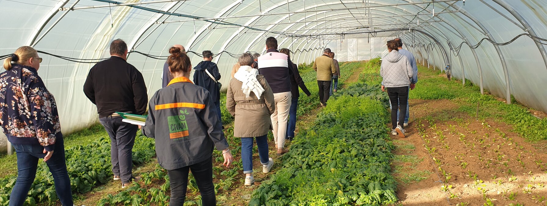 Membres du club restauration collective en visite dans une serre maraîchère de l'association Nature solidaire à Magné