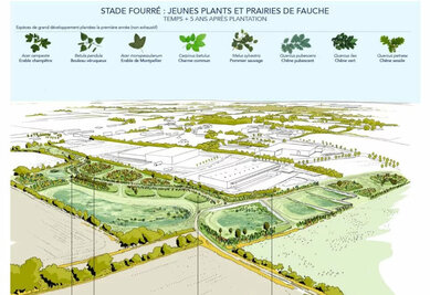 Simulation paysagère à 5 ans : espèces ligneuses, prairies de fauche et cheminements prévus sur la zone d'activité