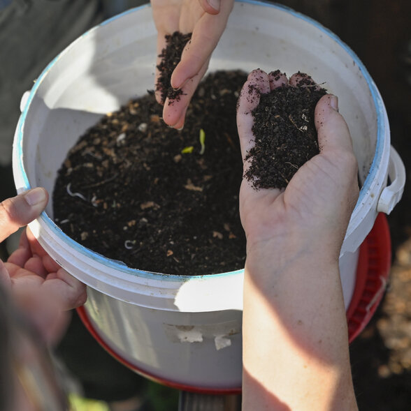 Mains tenant une poignée de compost noir et fertile, avec des vers de terre visibles dans un seau de compostage - Agrandir l'image, fenêtre modale