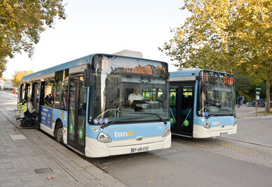 Tanlib mobilite Tanlib mobilite