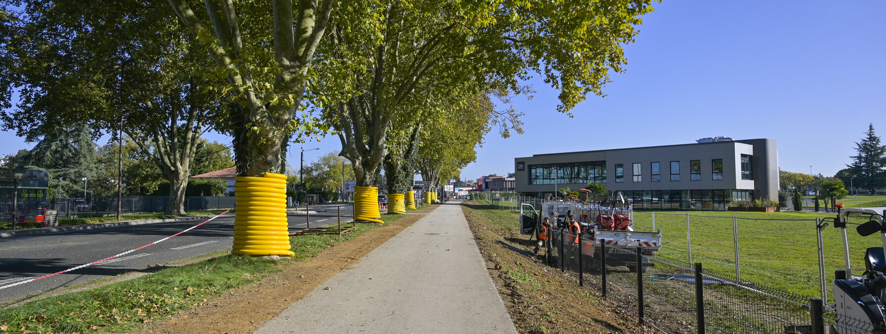 Voie cyclable avenue de La Rochelle, arbres aux troncs gainés de jaune, chantier en cours d'achèvement