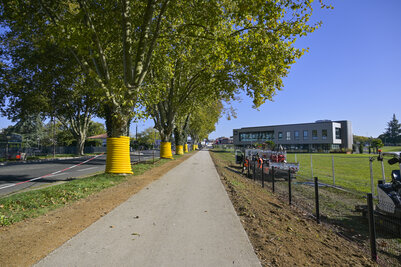 Voie cyclable avenue de La Rochelle, arbres aux troncs gainés de jaune, chantier en cours d'achèvement