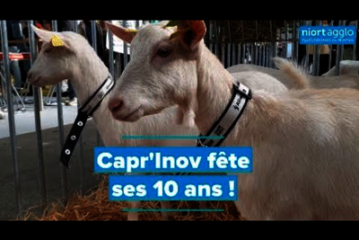 Lire la vidéo 1 sur [1], fenêtre modale