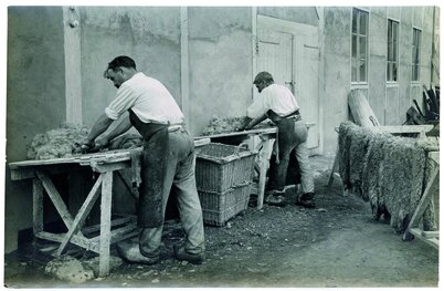 Le travail de rivière pour préparer la peau au tannage ©DR