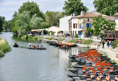 Coulon